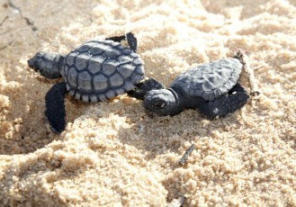 Projeto da Samarco é premiado nacionalmente