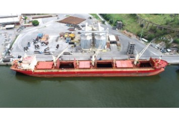 Porto de Vitória movimenta 750 mil t em janeiro