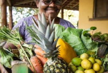 Parceria entre Suzano e Monkey atinge R$ 1 bilhão em recursos disponibilizados a fornecedores