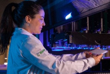 Suzano e Corteva Agriscience impulsionam pesquisas em genética de árvores ao tornarem público um novo genoma de referência do eucalipto