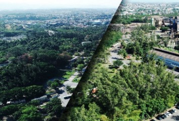 Simec Cariacica mantém área verde de 567 mil metros quadrados