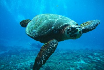 Regência (ES) recebe grupos de comunicação de Mariana, alto e baixo rio Doce no Programa Vimver
