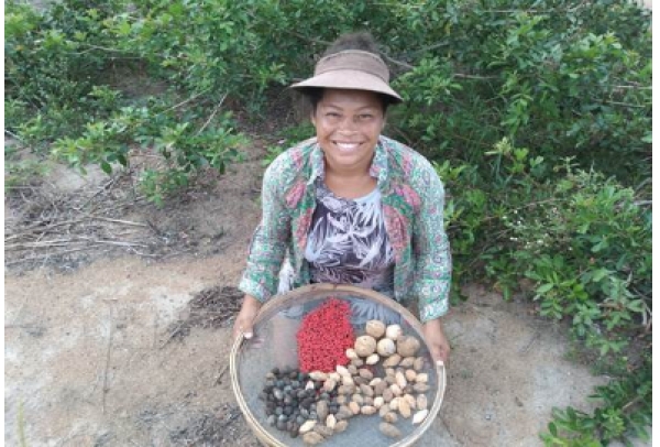 Sementes geram renda para indígenas de Aracruz