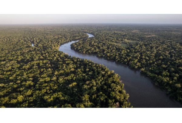 Petrobras faz sua primeira compra de créditos de carbono