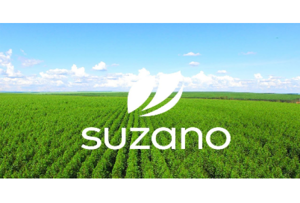 Suzano, Box Print e Merck se unem para neutralizar emissão de carbono em embalagens de medicamentos