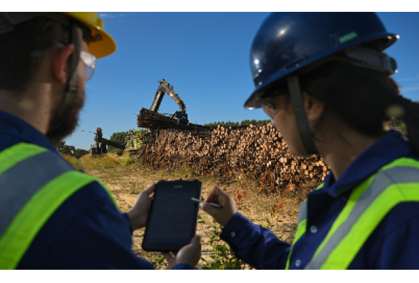 Gerdau apresenta evolução em avaliação do CDP