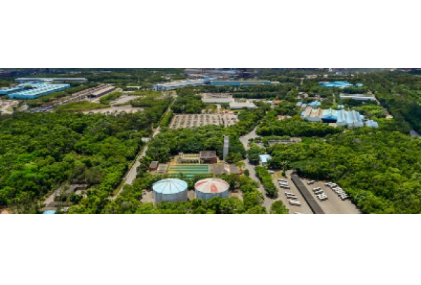 Petrobras e ArcelorMittal assinam acordo para estudos e avaliações de negócios em baixo carbono