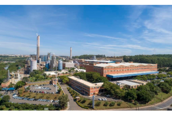 Suzano investe na produção de celulose fluff em Limeira (SP)