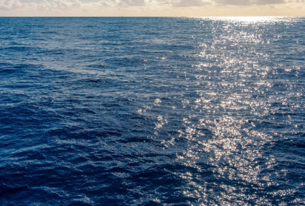 Petrobras assina memorando para desenvolvimento de pesquisas em tecnologia para aquisição e processamento sísmico