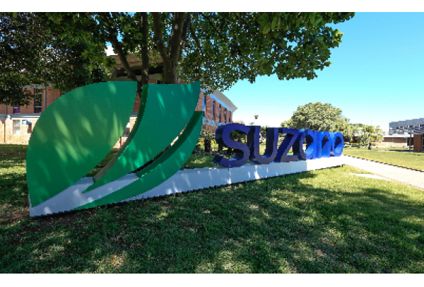 Estudo aponta que Suzano é responsável por gerar e induzir cerca de 580 mil empregos diretos e indiretos no Brasil