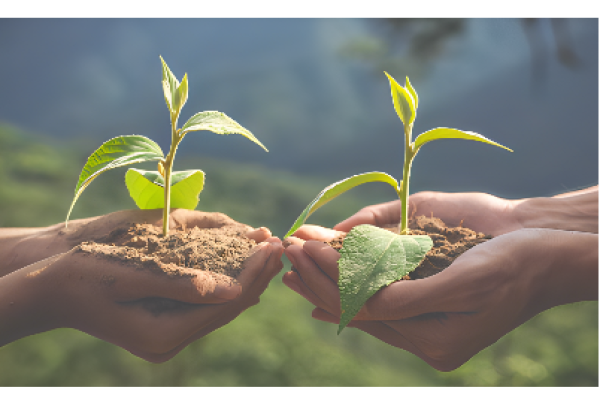 Seleção para gestor do fundo de descarbonização recebe 11 propostas