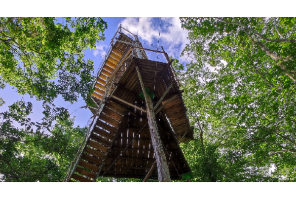 Parque Costeiro, Botânico e Reserva Natural Vale preparam programação especial de férias em julho