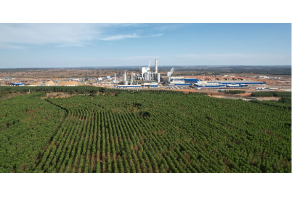 Com mais de R$ 300 milhões investidos no desenvolvimento de Ribas do Rio Pardo (MS), Suzano completa um ano de operações na cidade