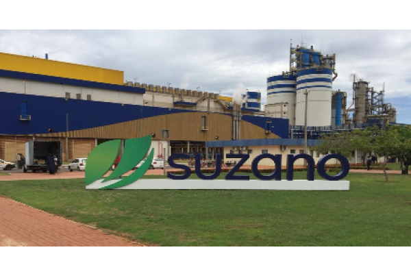 Suzano reporta aumento de eficiência operacional com nova redução do custo caixa no terceiro trimestre