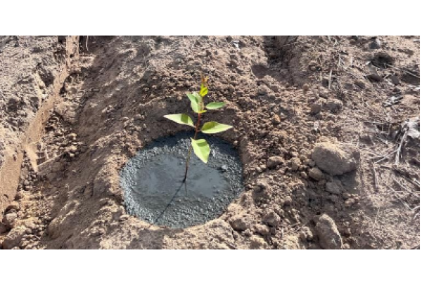 No Dia Mundial da Água, Suzano destaca iniciativa que reutiliza resíduo industrial para redução no consumo de água no processo de irrigação