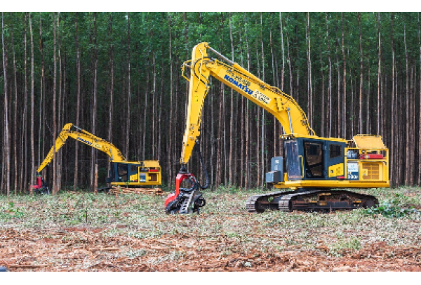Suzano abre inscrições para formação remunerada de operadores de máquinas florestais trainee em Aracruz