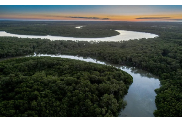Suzano avança com corredores ecológicos entre a Bahia e o ES