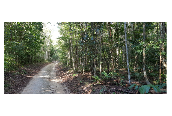 Reserva Natural Vale recebe a 8ª Meia Maratona do Verde e das Águas