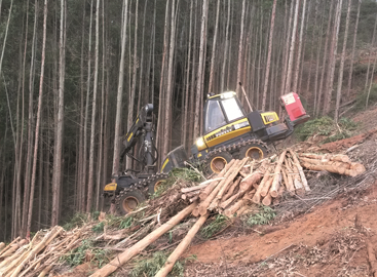 Fibria faz colheita mecanizada de eucalipto em áreas de declive no sul do Espírito Santo