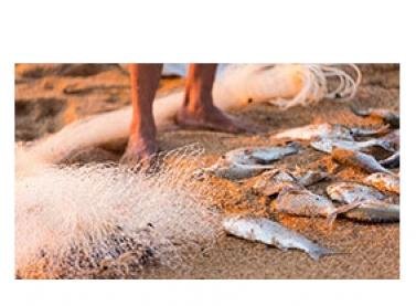 Fundação Renova fecha acordos para pagamento de indenização de pescadores