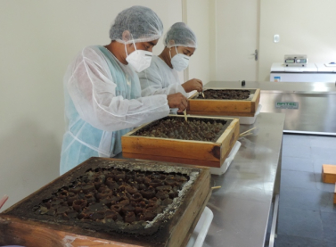 Projetos apoiados pela Suzano participam da Feira Sabores da Terra