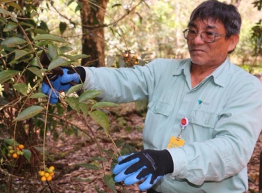 Herbário de Carajás integra rede internacional