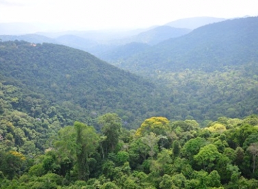 Vale adere à campanha da ONU para o dia Mundial do Meio Ambiente