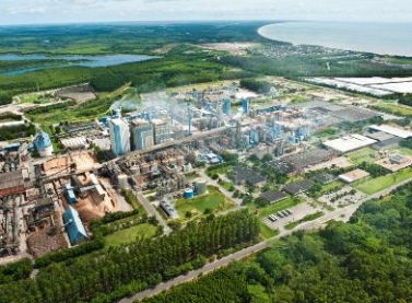 Fibria lança desafios para pesquisa na área florestal na plataforma 100 Open Startups