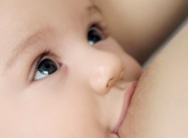 Parque Botânico Vale promove ação especial para encerrar a Semana Mundial da Amamentação