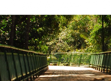 Parque Botânico Vale celebra Dia Mundial da Dança neste sábado