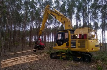 Fibria adquire 21 novas máquinas de colheita florestal e renova 30% da frota
