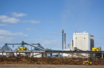 Fibria é autossuficiente na geração de energia