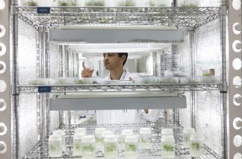 Fibria estimula o desenvolvimento de tecnologias inovadoras