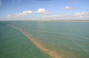 Mancha em Itaúnas não é pluma de rejeitos