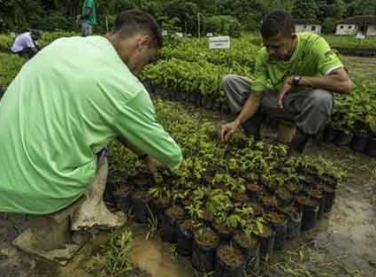 Petrobras e UNESCO no Brasil assinam acordo para projeto social