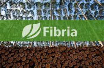 Professores de escolas municipais de Aracruz receberam diploma de multiplicadores ambientais