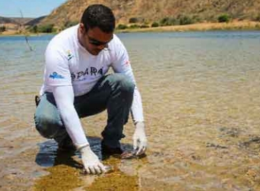 Petrobras recebe inscrições para patrocínio a projetos ambientais e sociais