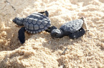 Projeto da Samarco é premiado nacionalmente