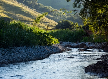 Seminário organizado pelo IBAMA discute os resultados e desafios no trabalho de reparação ao longo da bacia do Rio Doce