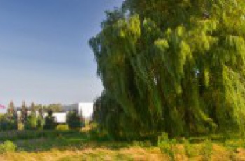 Vale é a mais transparente do Brasil