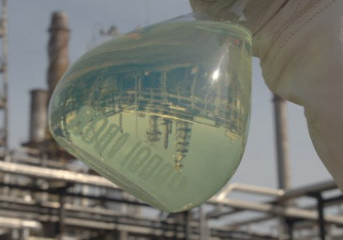 Petrobras e Vibra testam diesel com conteúdo renovável em linhas de ônibus de Curitiba