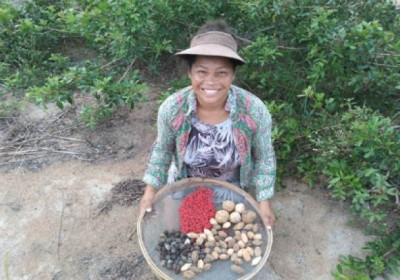 Sementes geram renda para indígenas de Aracruz