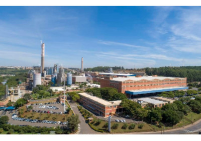 Suzano investe na produção de celulose fluff em Limeira (SP)