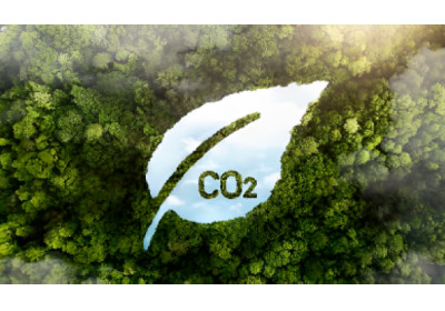 Fundo de Descarbonização: Últimos dias para envio de propostas de candidatas à gestora