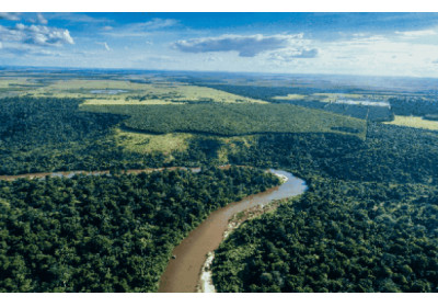 Suzano utiliza gravadores de som e DNA ambiental em iniciativa pioneira de monitoramento da biodiversidade em MS