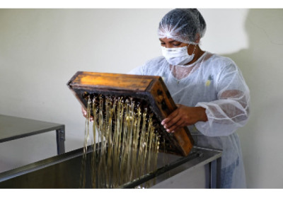 Com apoio da Suzano, agricultora indígena encontra na meliponicultura o caminho para sustentar a família