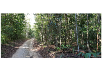 Reserva Natural Vale recebe a 8ª Meia Maratona do Verde e das Águas