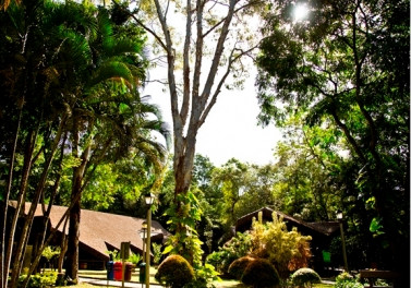 Programa Conhecer da ArcelorMittal Tubarão fecha ano com mais de 15 mil visitantes