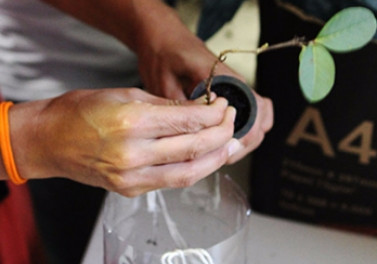 Jovens participantes do projeto Plantando pelo Planeta realizarão primeiro plantio de mudas nativas em Mariana