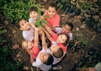 Semana da Mata Atlântica tem palestras e plantio de mudas na Usina Paineiras